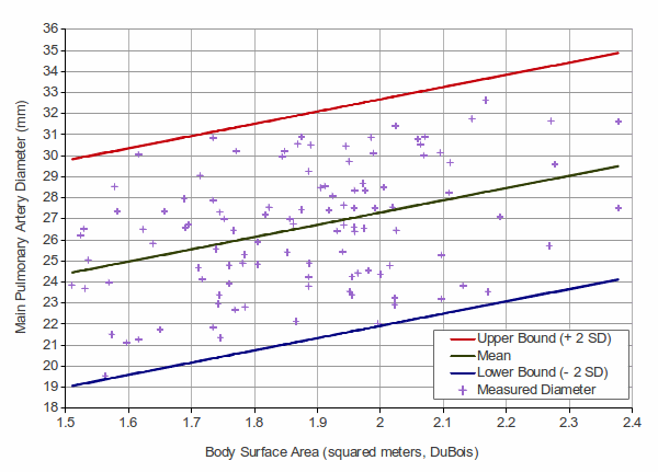 Bsa Size Chart